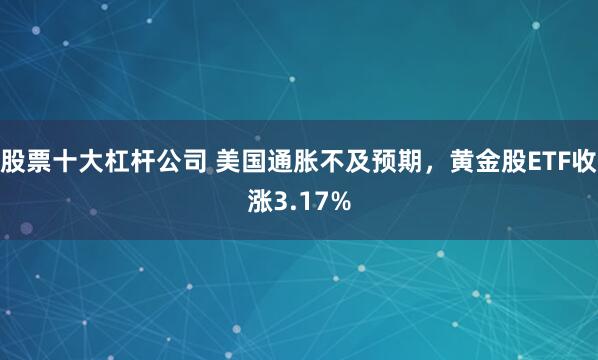 股票十大杠杆公司 美国通胀不及预期，黄金股ETF收涨3.17%