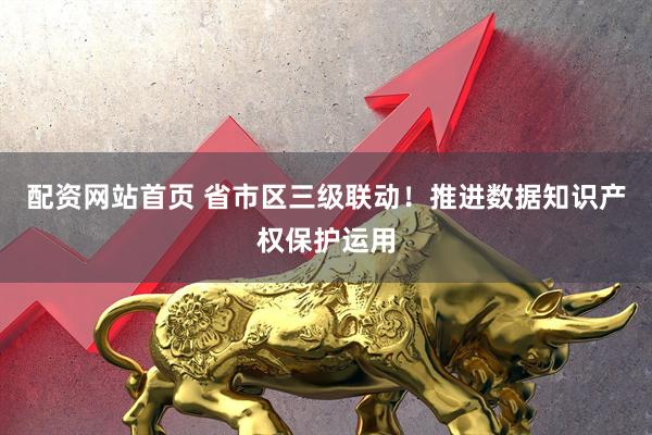 配资网站首页 省市区三级联动！推进数据知识产权保护运用