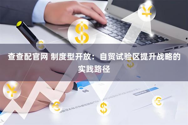 查查配官网 制度型开放：自贸试验区提升战略的实践路径