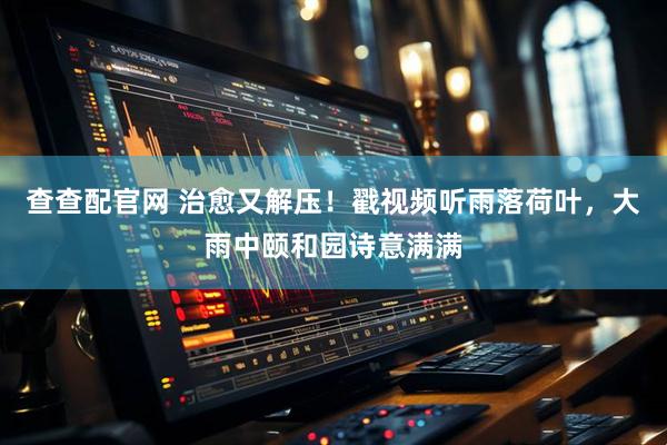 查查配官网 治愈又解压！戳视频听雨落荷叶，大雨中颐和园诗意满满