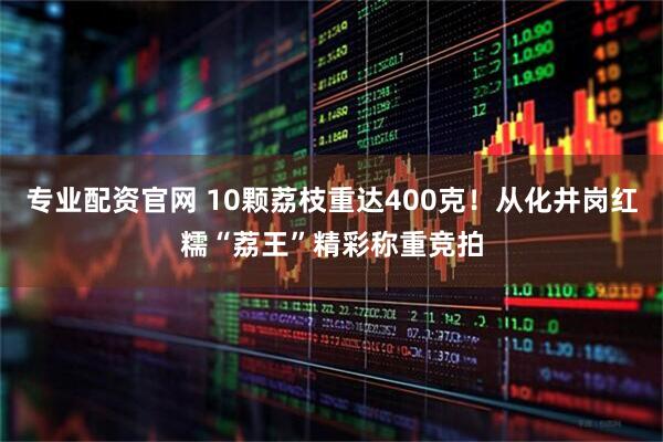 专业配资官网 10颗荔枝重达400克！从化井岗红糯“荔王”精彩称重竞拍